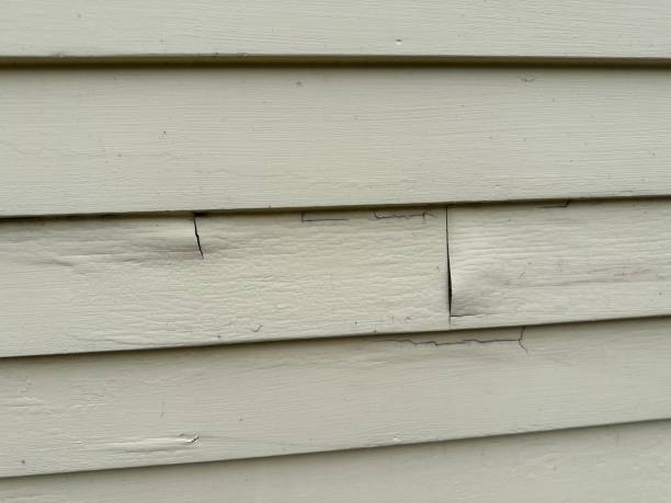 Best Shed Removal  in South Yarmouth, MA